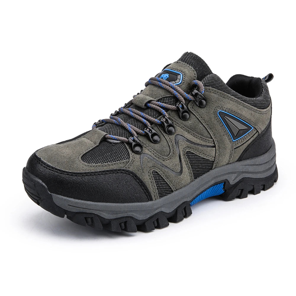 Alpine Step Hikers