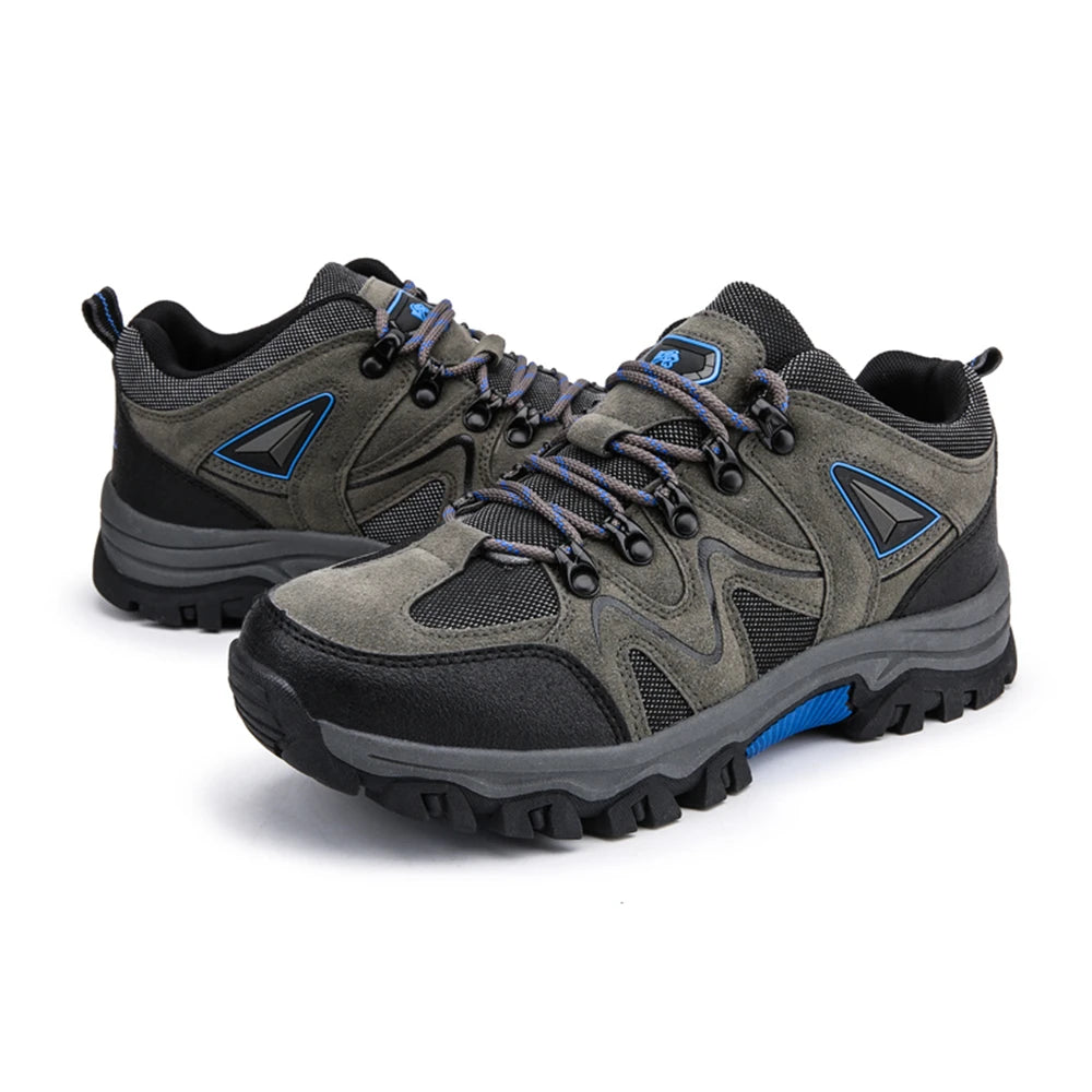 Alpine Step Hikers
