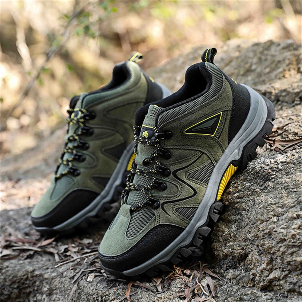 Alpine Step Hikers