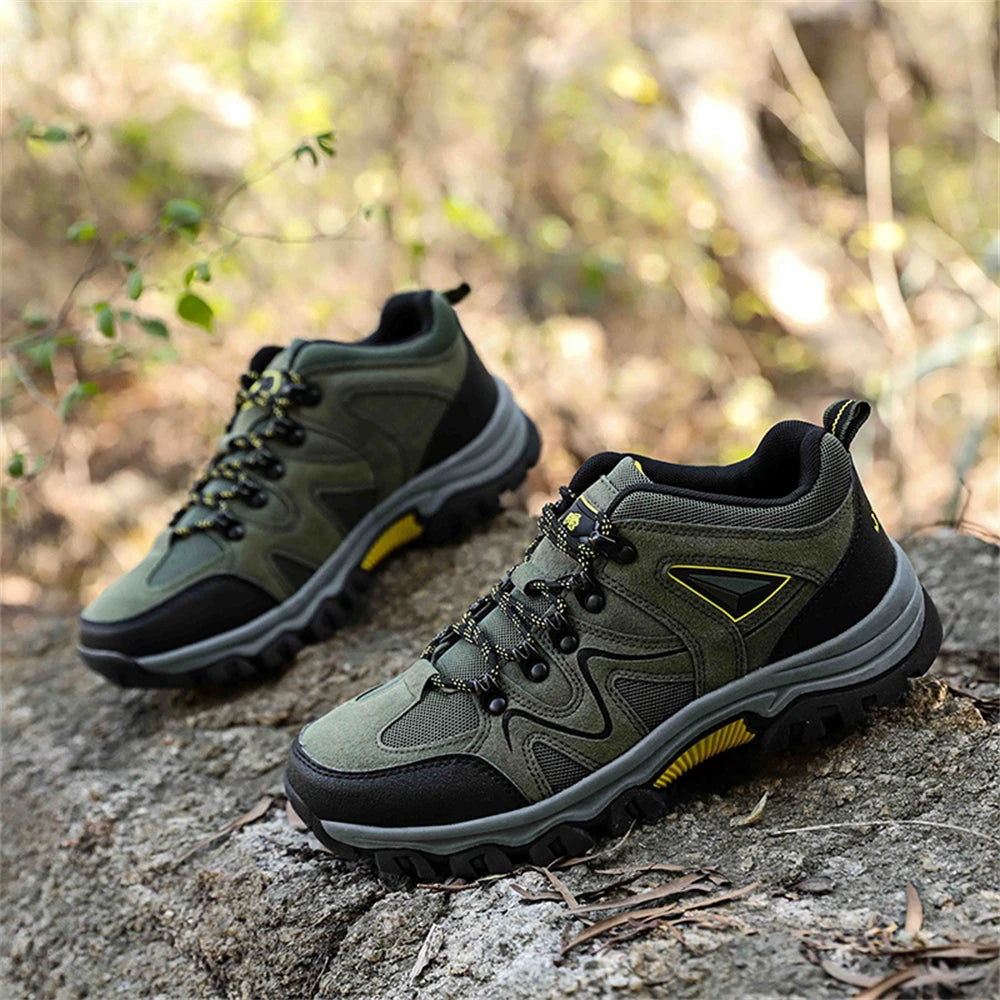 Alpine Step Hikers